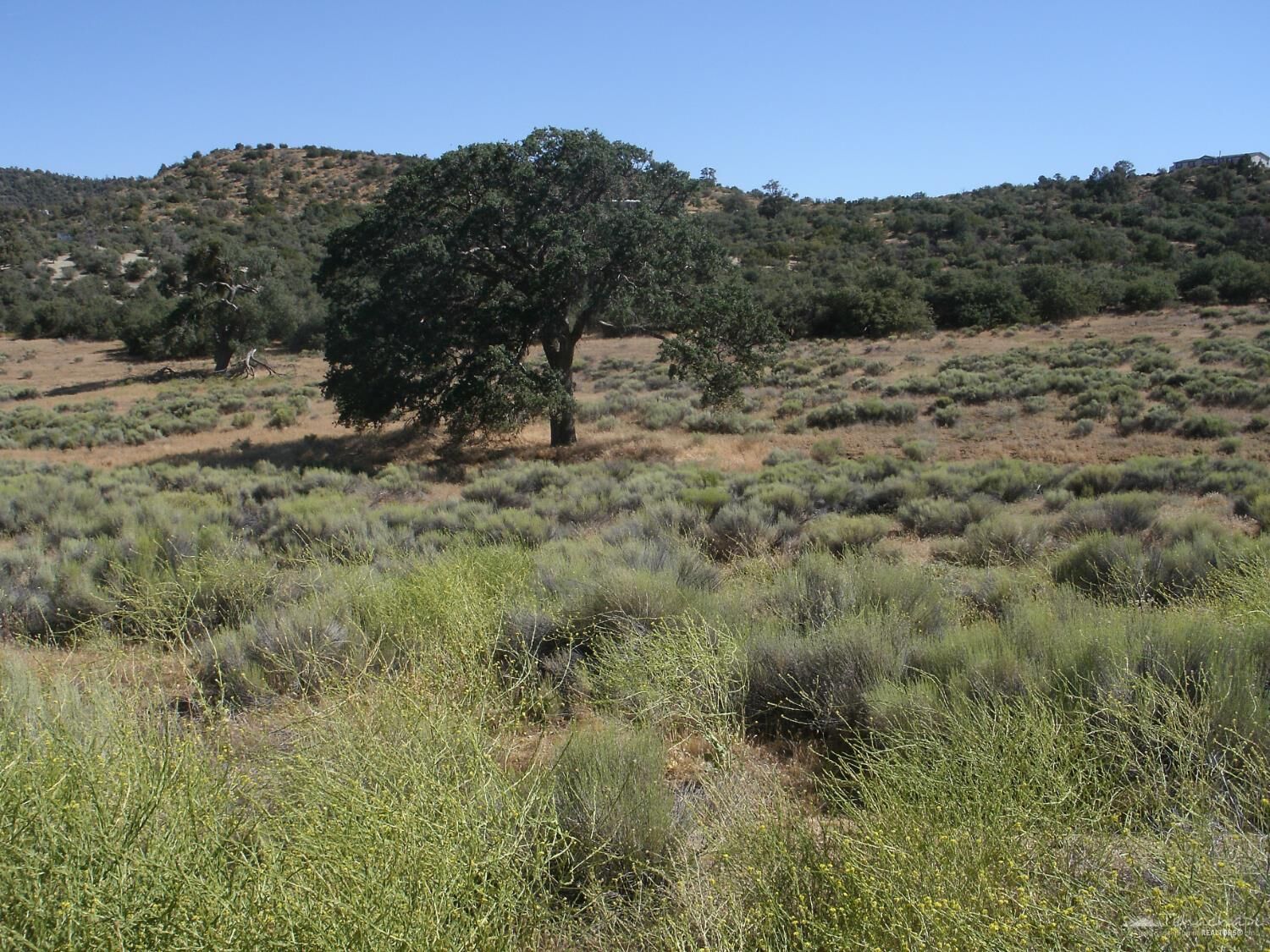Property Photo: 0 Umtali Road CA 93561