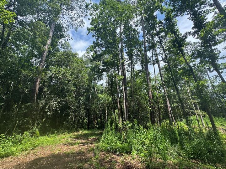 Property Photo:  1511 N Dawson St.  GA 31792 