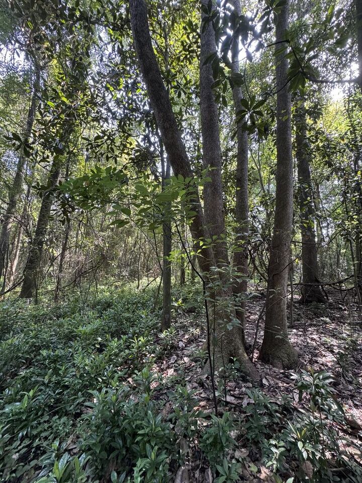Property Photo:  1511 N Dawson St.  GA 31792 