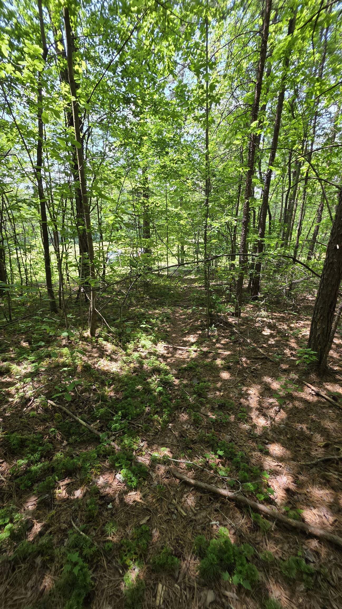 Property Photo:  Muddy Ridge Road, Lot 11  KY 41230 