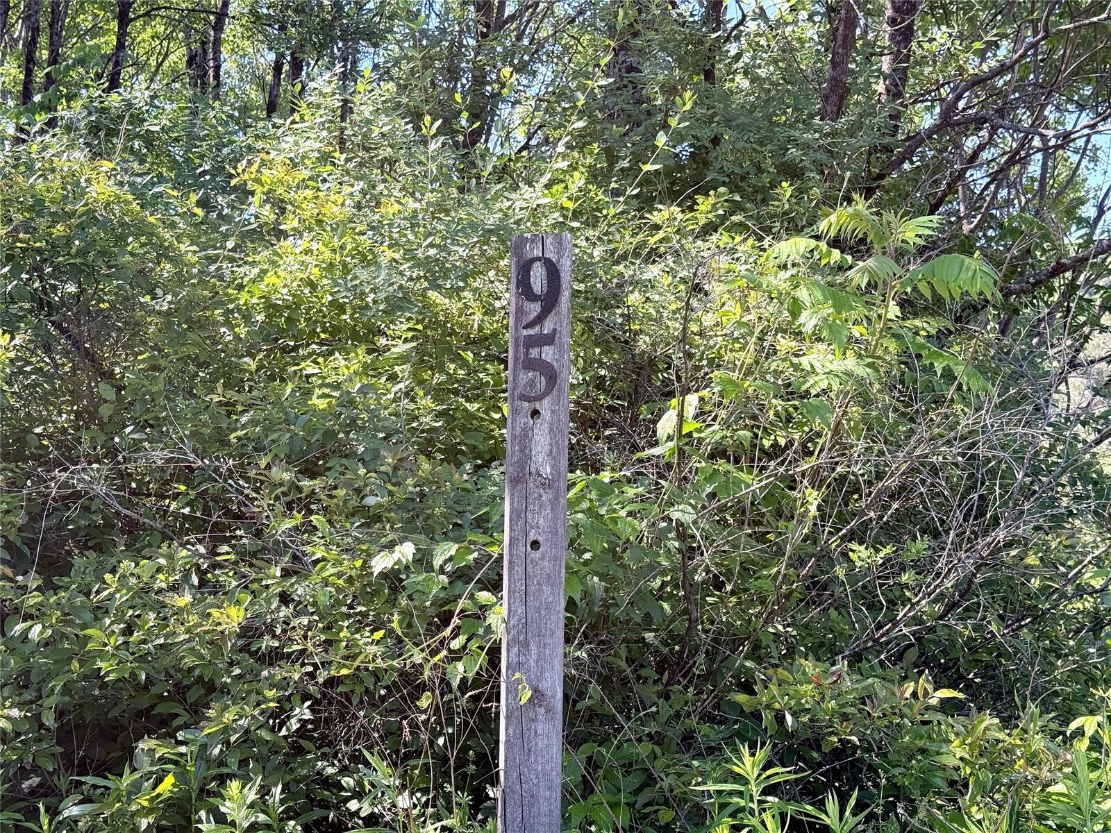 Property Photo: 95 Yarns Road NY 13787