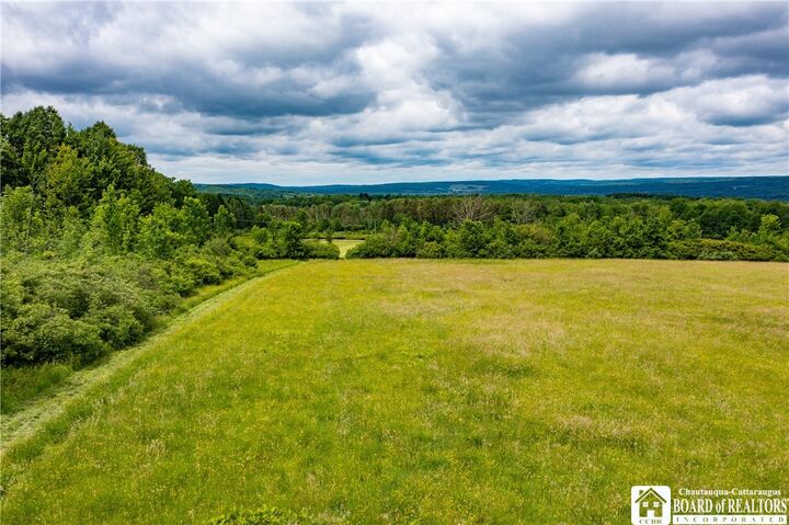 Property Photo: Part Of 4600 Fluvanna Townline Road NY 14701