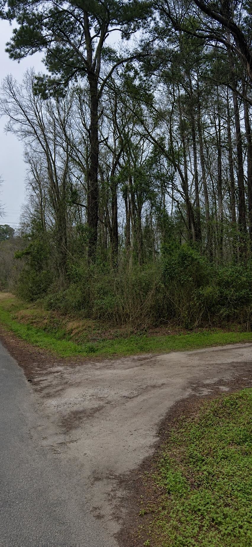 Property Photo: Tbd Sing Ave. SC 29527