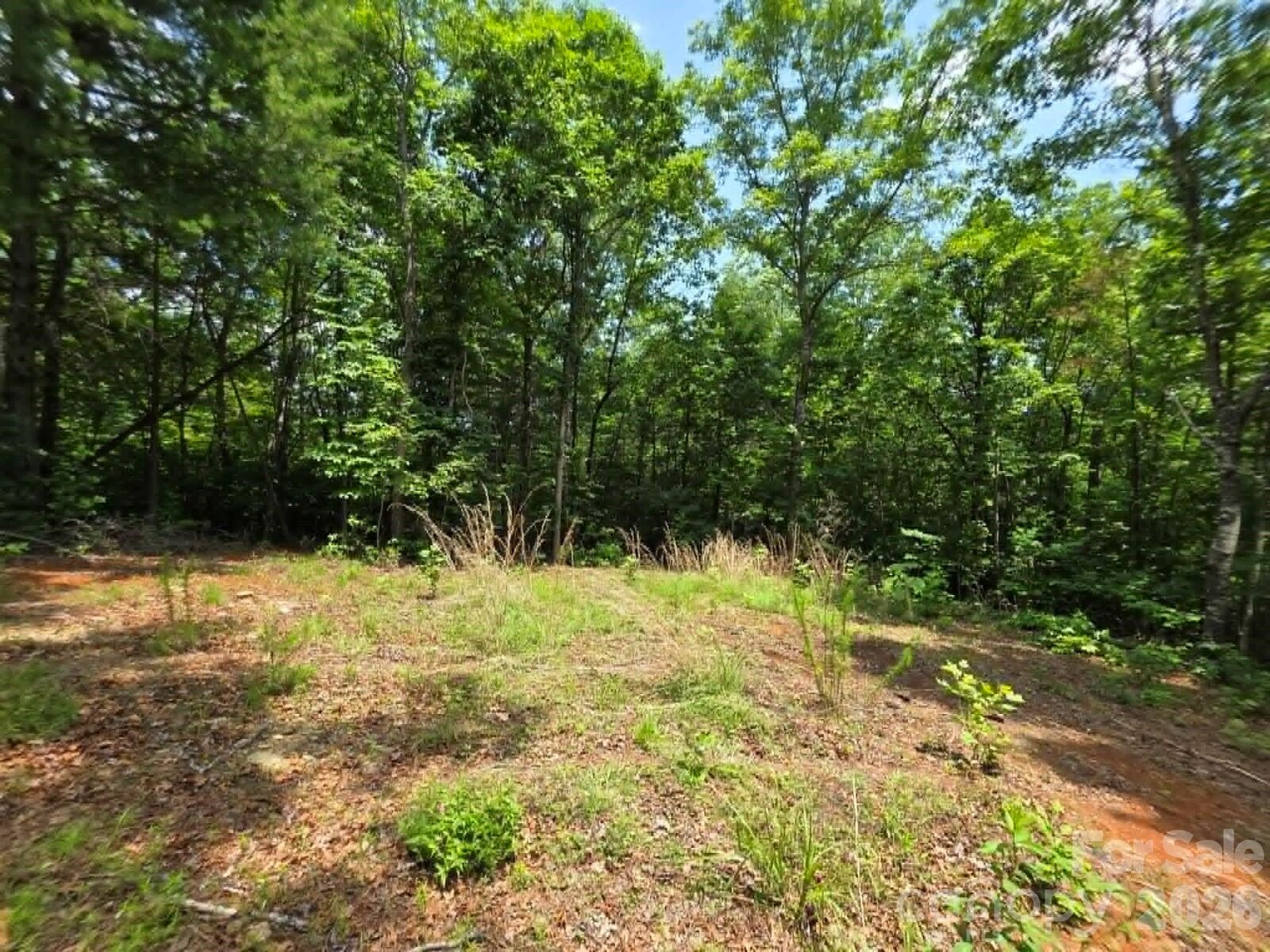 Property Photo:  169 Fairfield Lane  NC 28752 