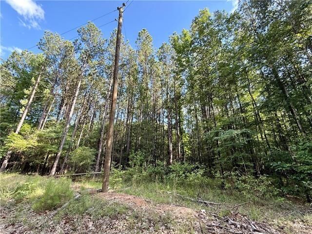 Property Photo:  0 Hwy 771 Highway  LA 71465 