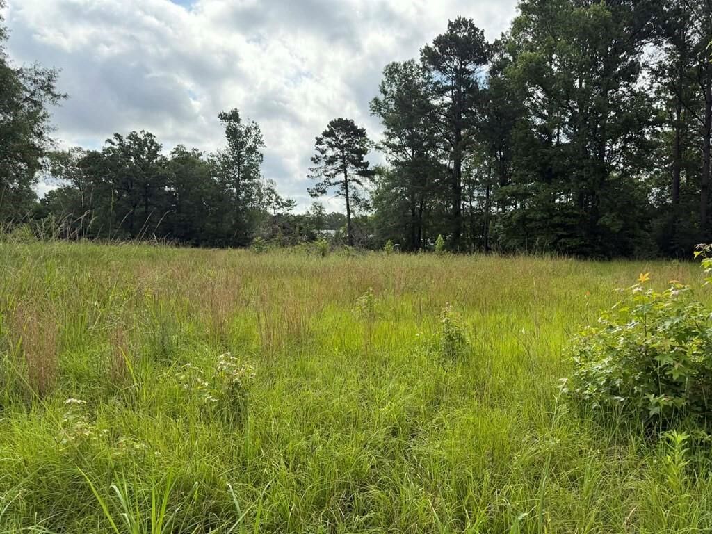 Property Photo:  194 Lindsley Ln  TX 75949 