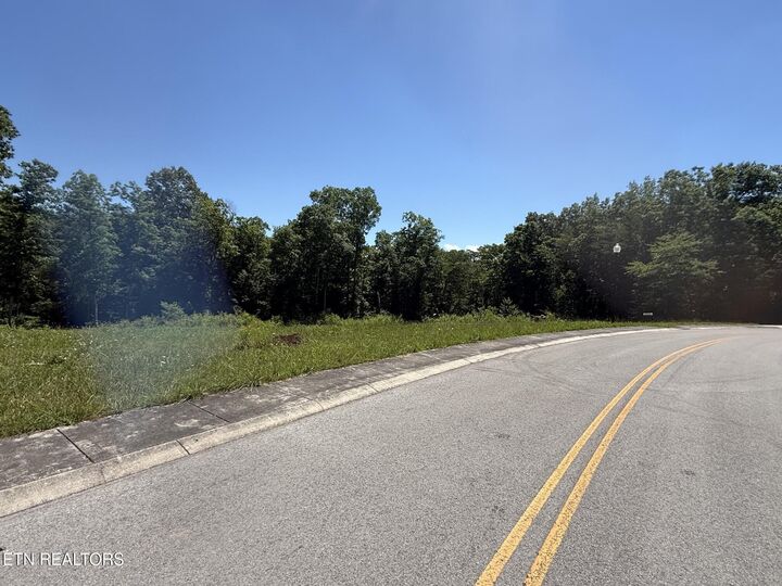 Property Photo:  Riverview Drive - Lot 1 & 2  TN 38555 