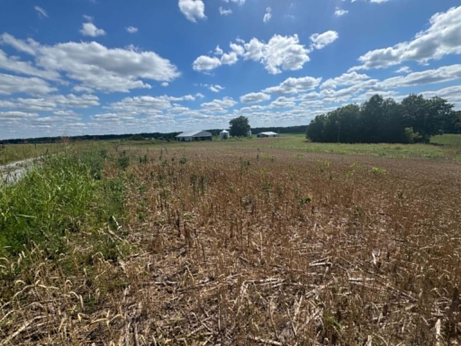 Property Photo: Lot 4 Willis Road KY 42728