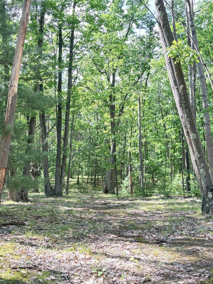 Property Photo: 10322 E 40th Street MI 49677