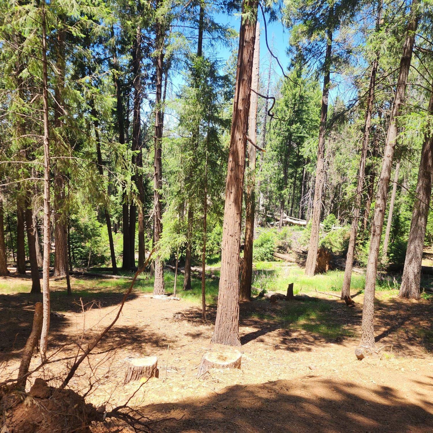 Property Photo: 5741 Lupin Lane CA 95726