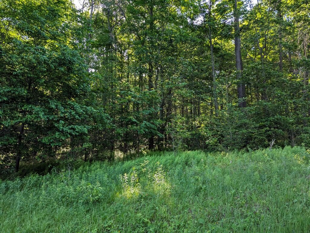 Property Photo:  00 Neefe Road  PA 16915 
