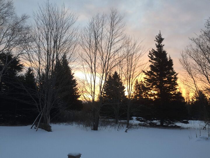 Property Photo:  Point Pleasant  PE C0A 1W0 