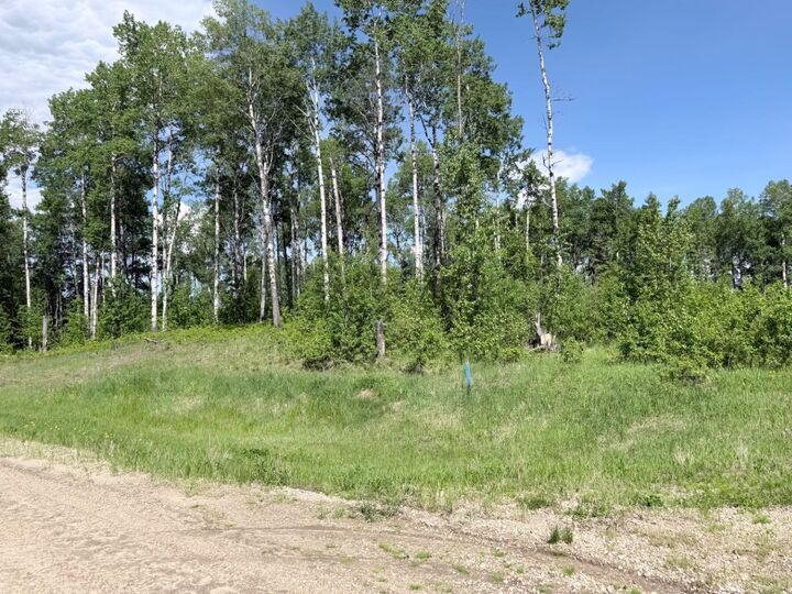 Block 1 Lot 6 Elk Ridge Estates — photo 1