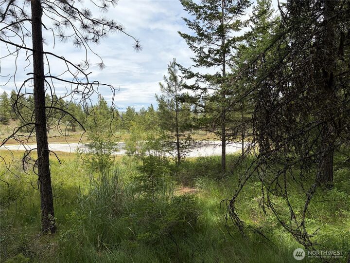 Property Photo:  33  Outback Road  WA 98844 