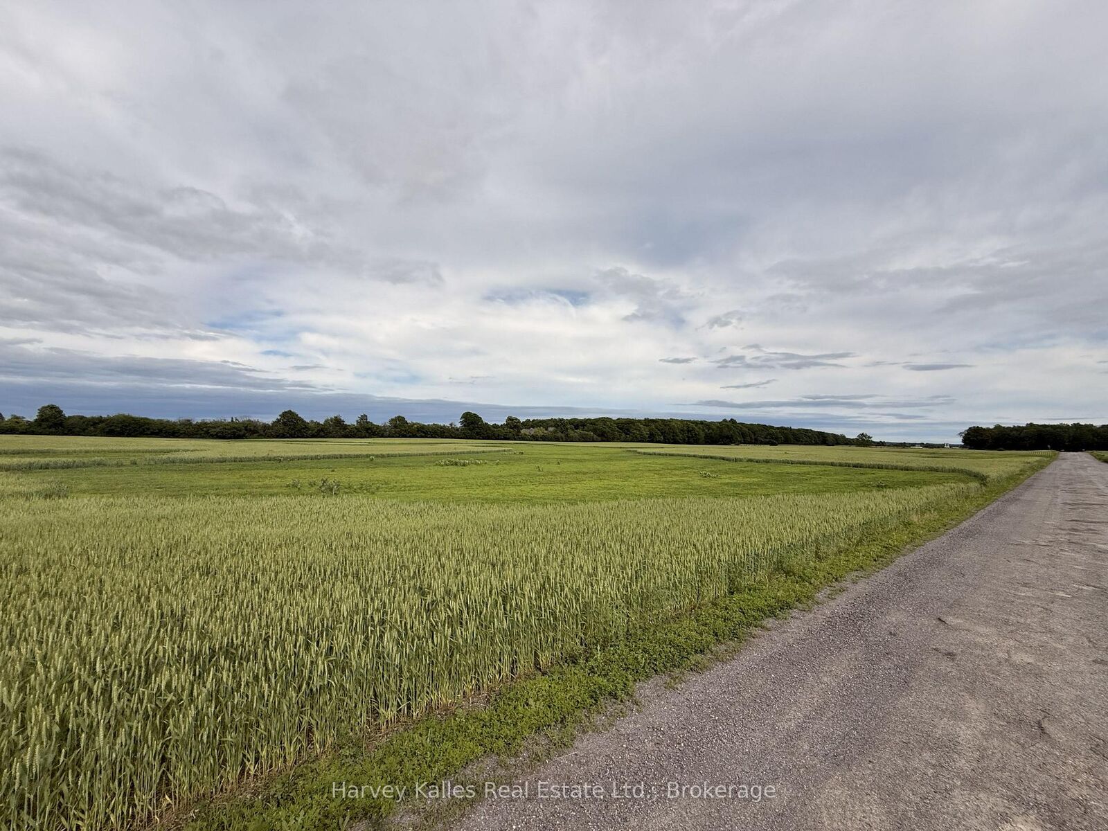 Property Photo: Beside 243 Morgan Road ON K0K 1G0