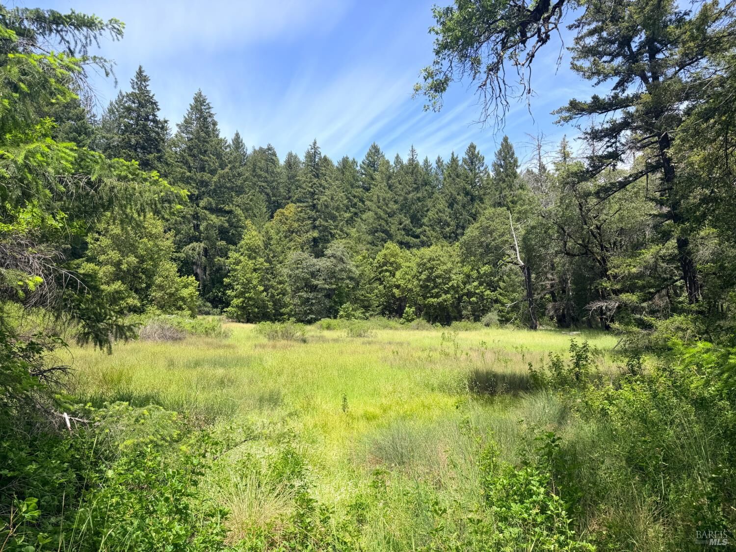 Property Photo:  0 Registered Guest Road  CA 95454 