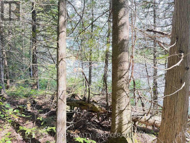 Property Photo:  00 Steiger Road  ON K0H 1B0 