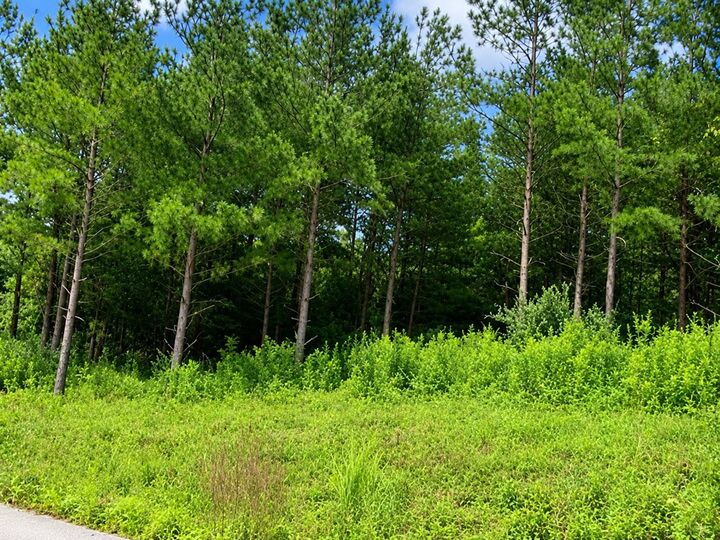 Property Photo:  4 Cedar Creek Phase 7  KY 41501 