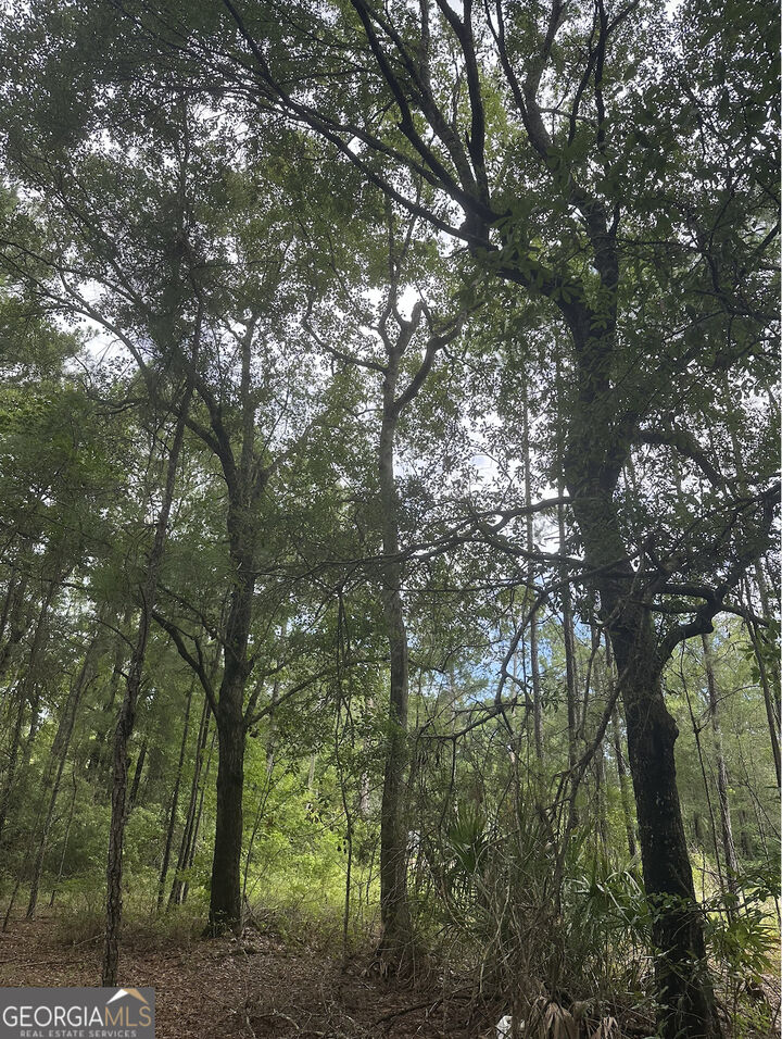 Property Photo:  V/L 1 Aberdeen Drive  GA 31565 