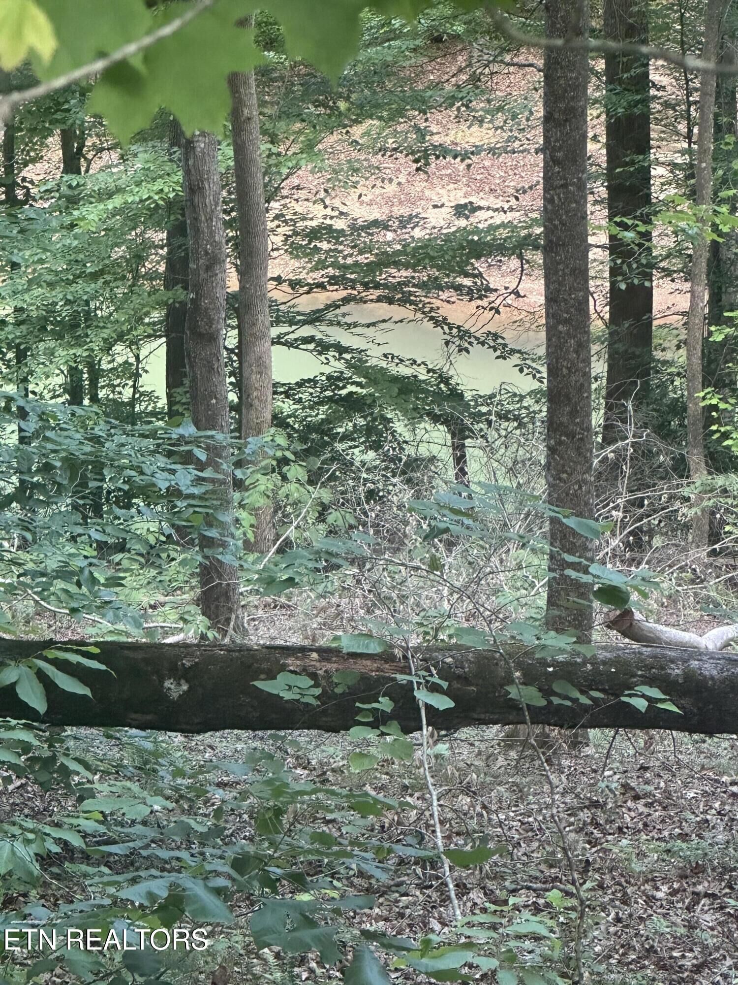 Property Photo: Hiwassee View - Lot 56 Drive TN 37757