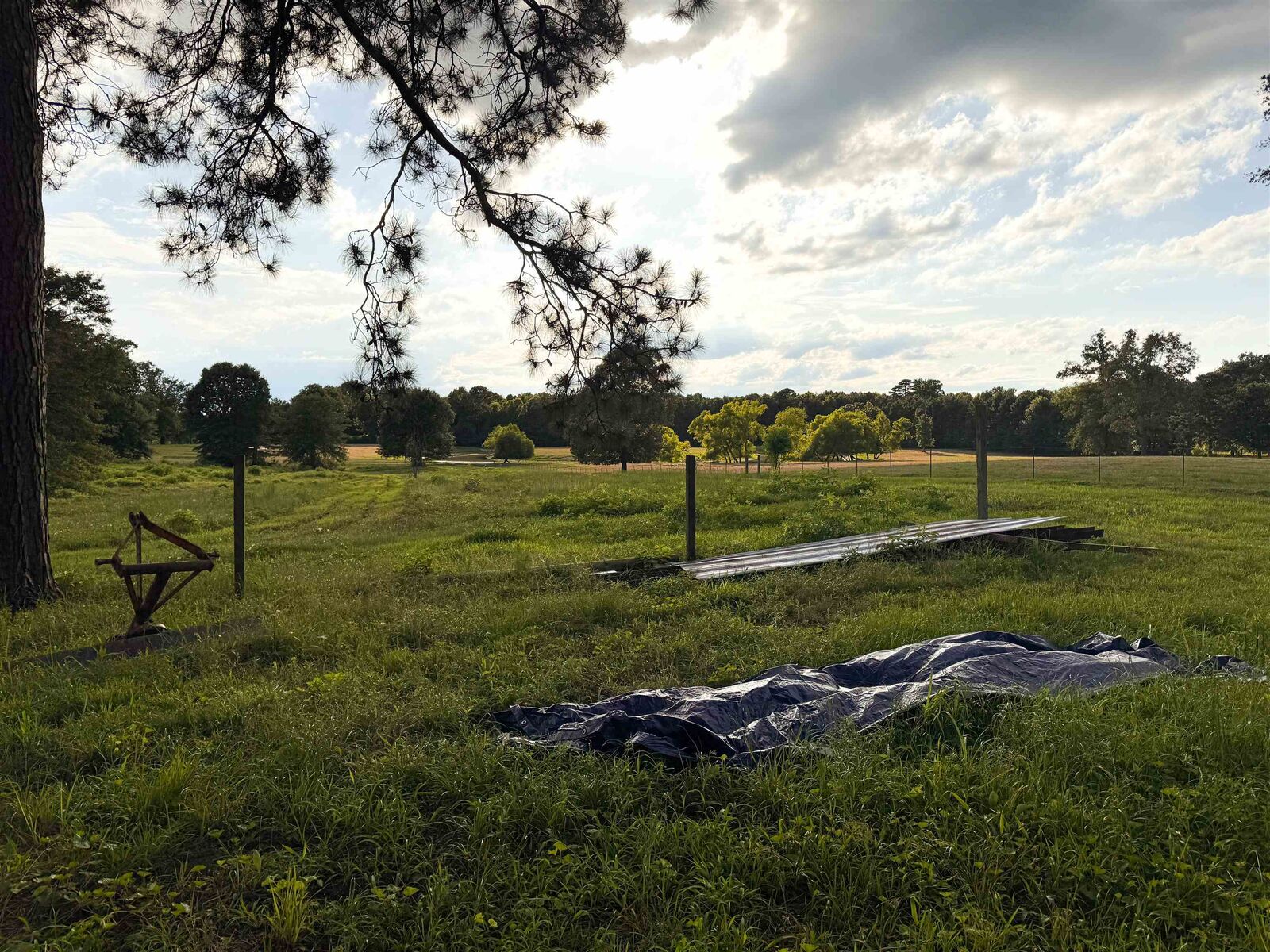 Property Photo:  424 Cr 1376  TX 75501 
