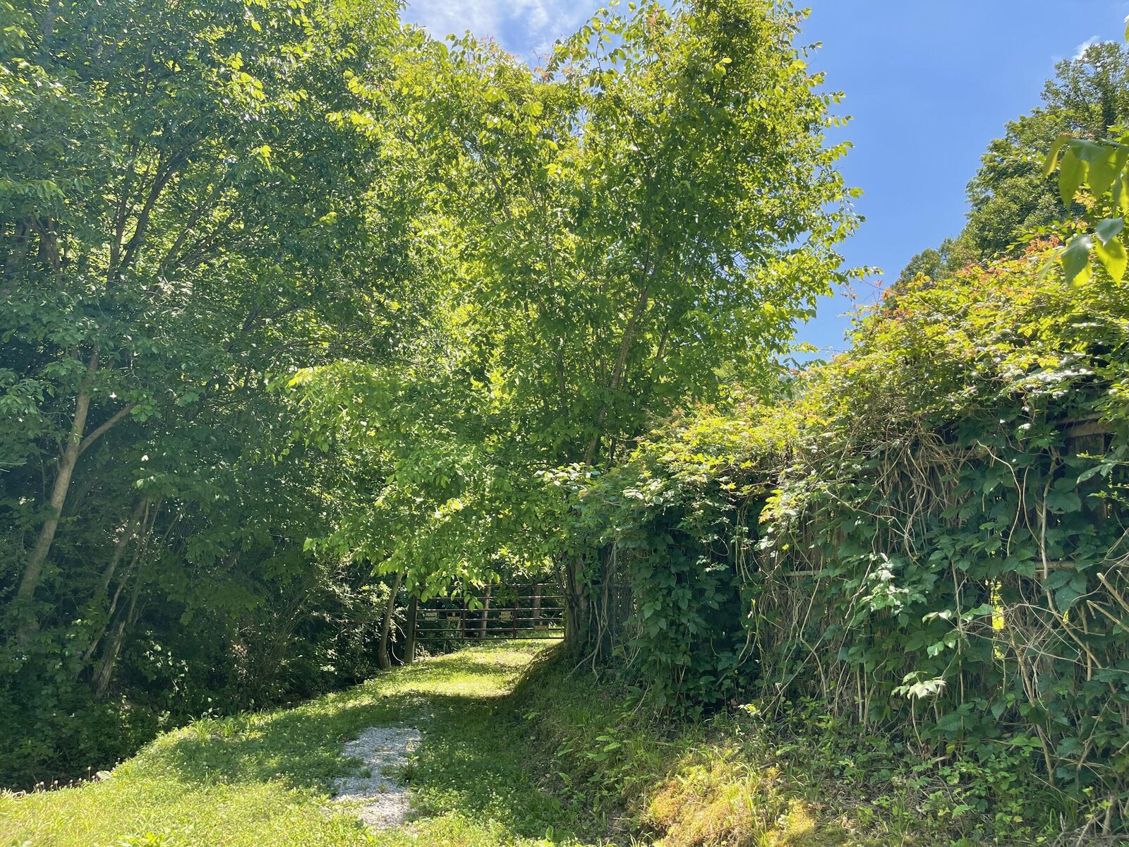 Property Photo:  6758 Highway 66  KY 40902 