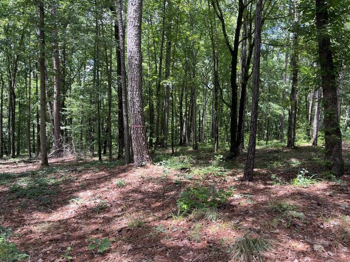 Property Photo:  Lots 1 &Amp 2 Pullman Lane  GA 30642 