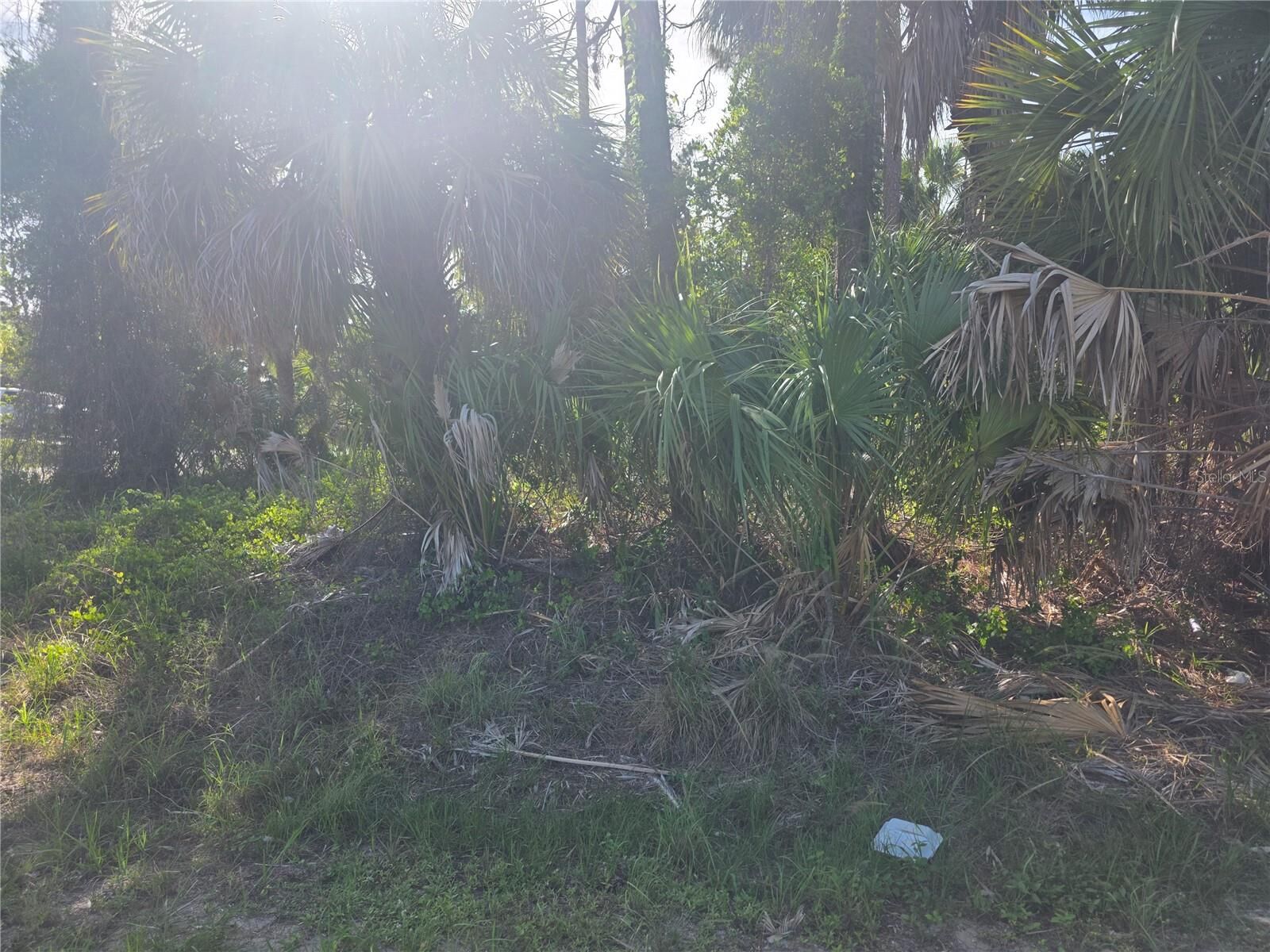 Property Photo:  Prime Terrace  FL 34286 
