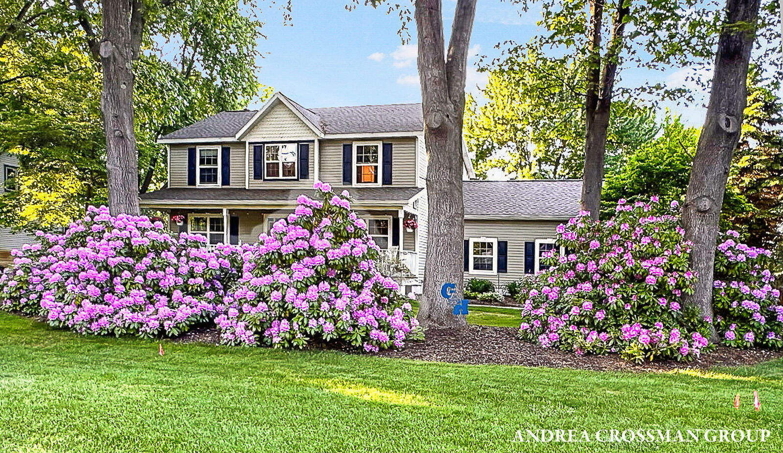 Property Photo:  15213 Meadowwood Drive  MI 49417 