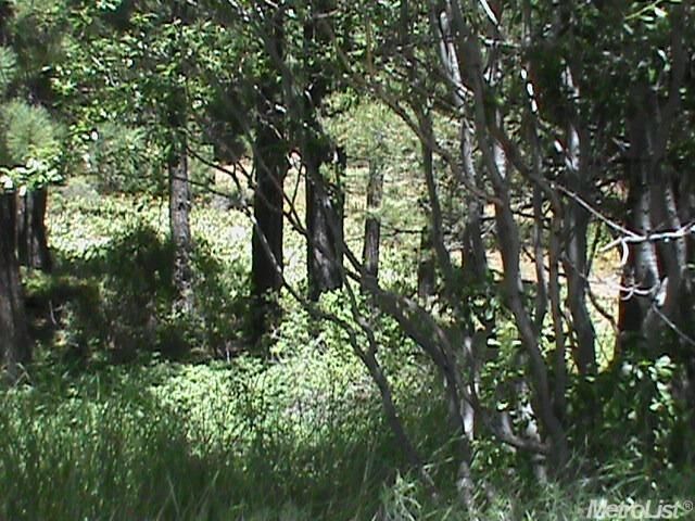 Property Photo:  16664 Skislope Way  CA 96161 