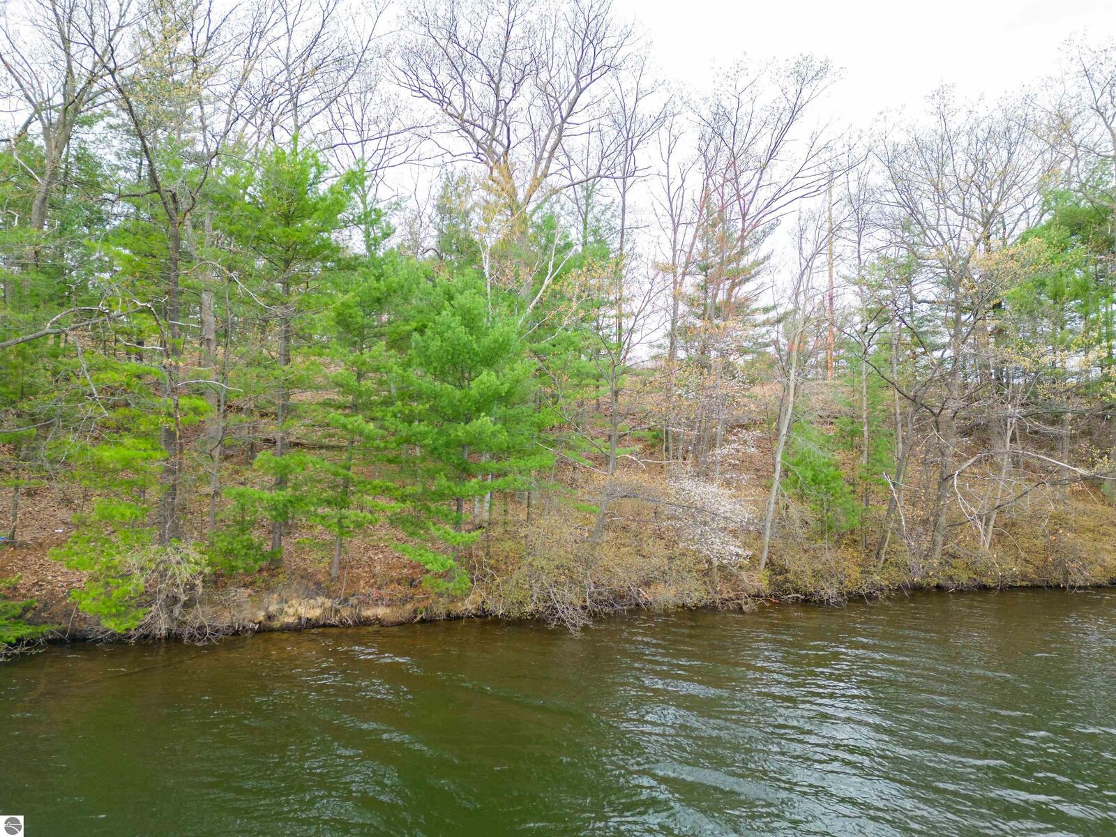 Property Photo: 1557 Edgewater Ridge MI 49684