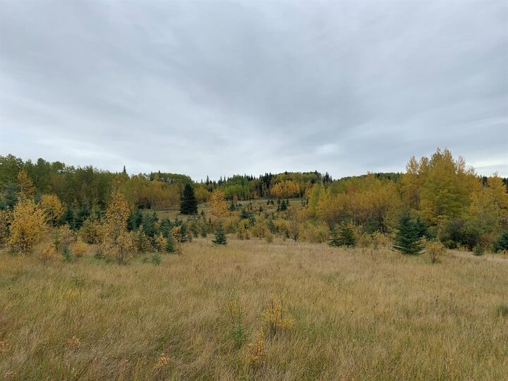 Property Photo:  Highway 16 And Range Road 184  AB T7E 3B4 