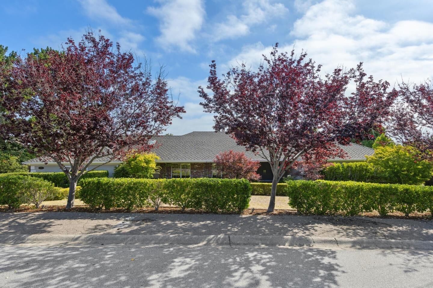 Property Photo:  995 Woodland Drive  CA 94010 