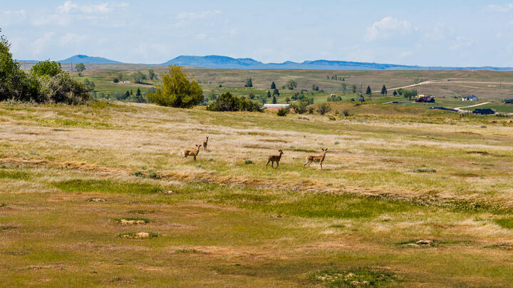 Property Photo:  Tbd N Upper Road  WY 82801 