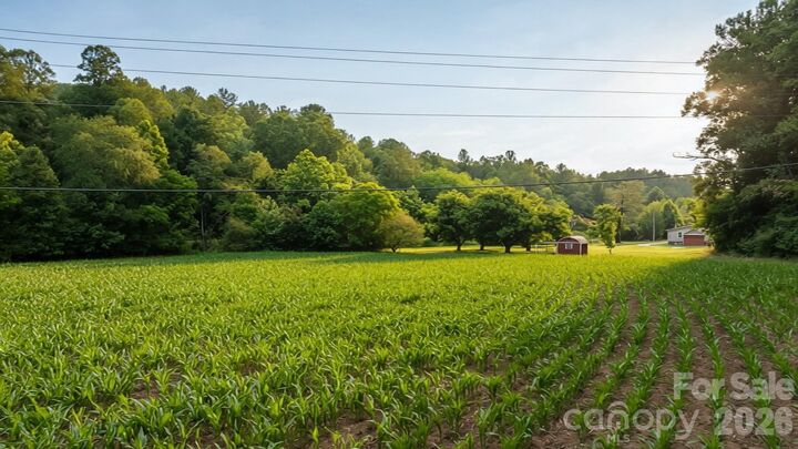 Property Photo: 2970 Zacks Fork Road NC 28645