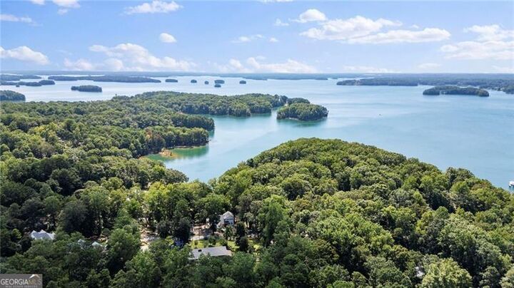 Property Photo: 0 Chinquapin Lane GA 30041