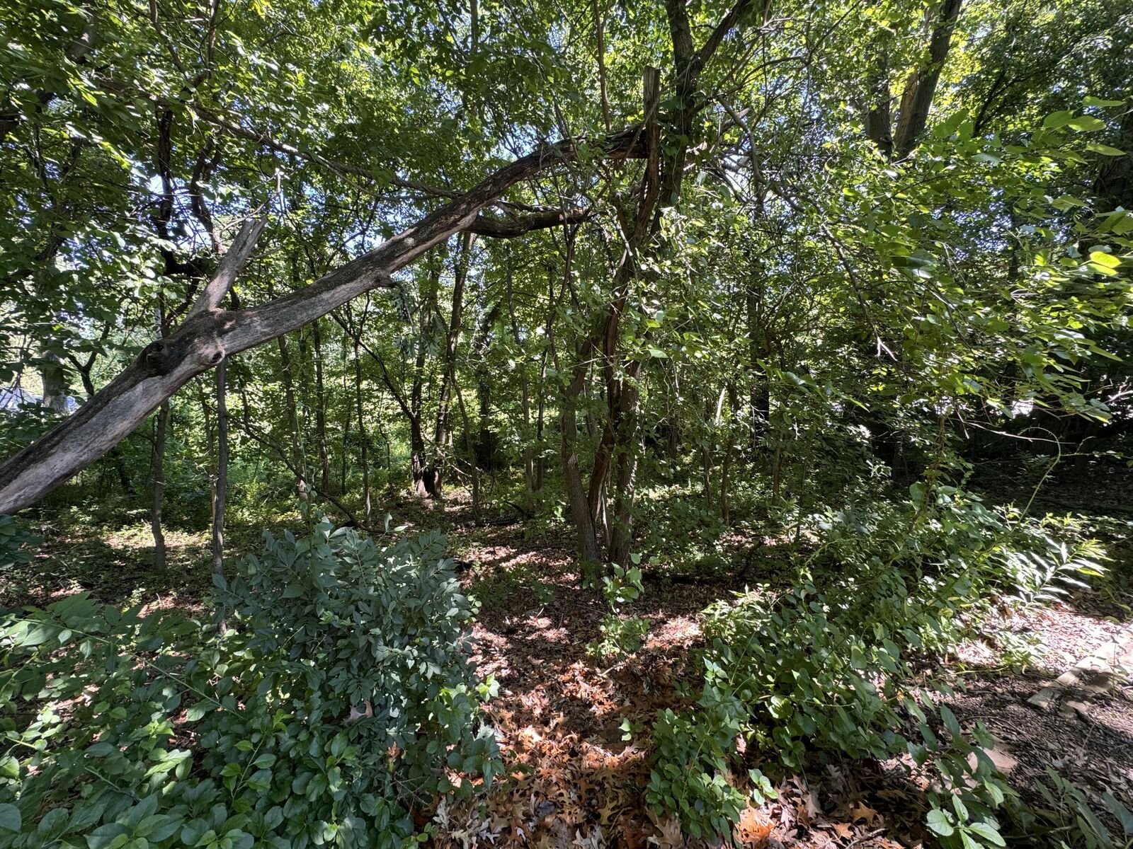 Property Photo: 0 Ruth Street IN 46360