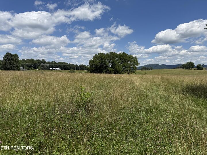 Property Photo:  Dogwalk Rd  TN 38543 