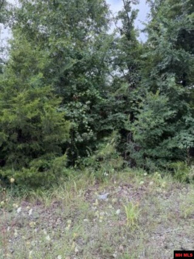 Property Photo:  Lot 7 Cr 868  AR 72544 