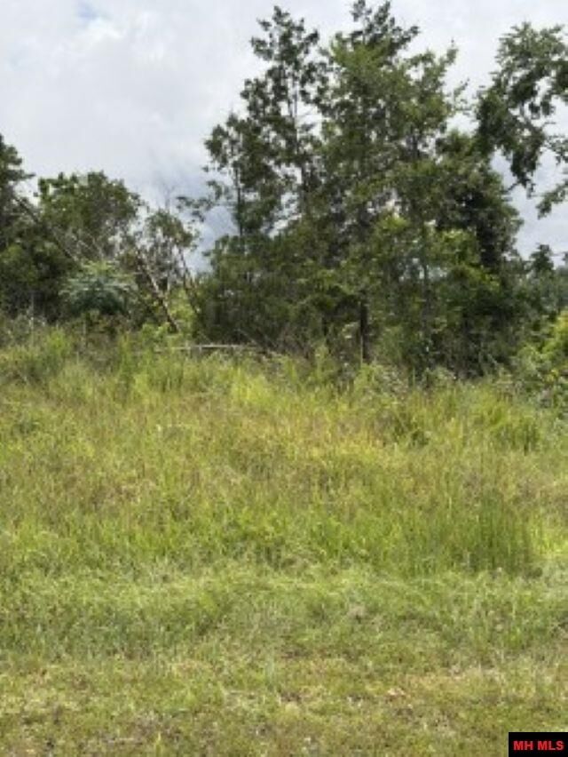 Property Photo:  Lot 23 Cr 868  AR 72544 