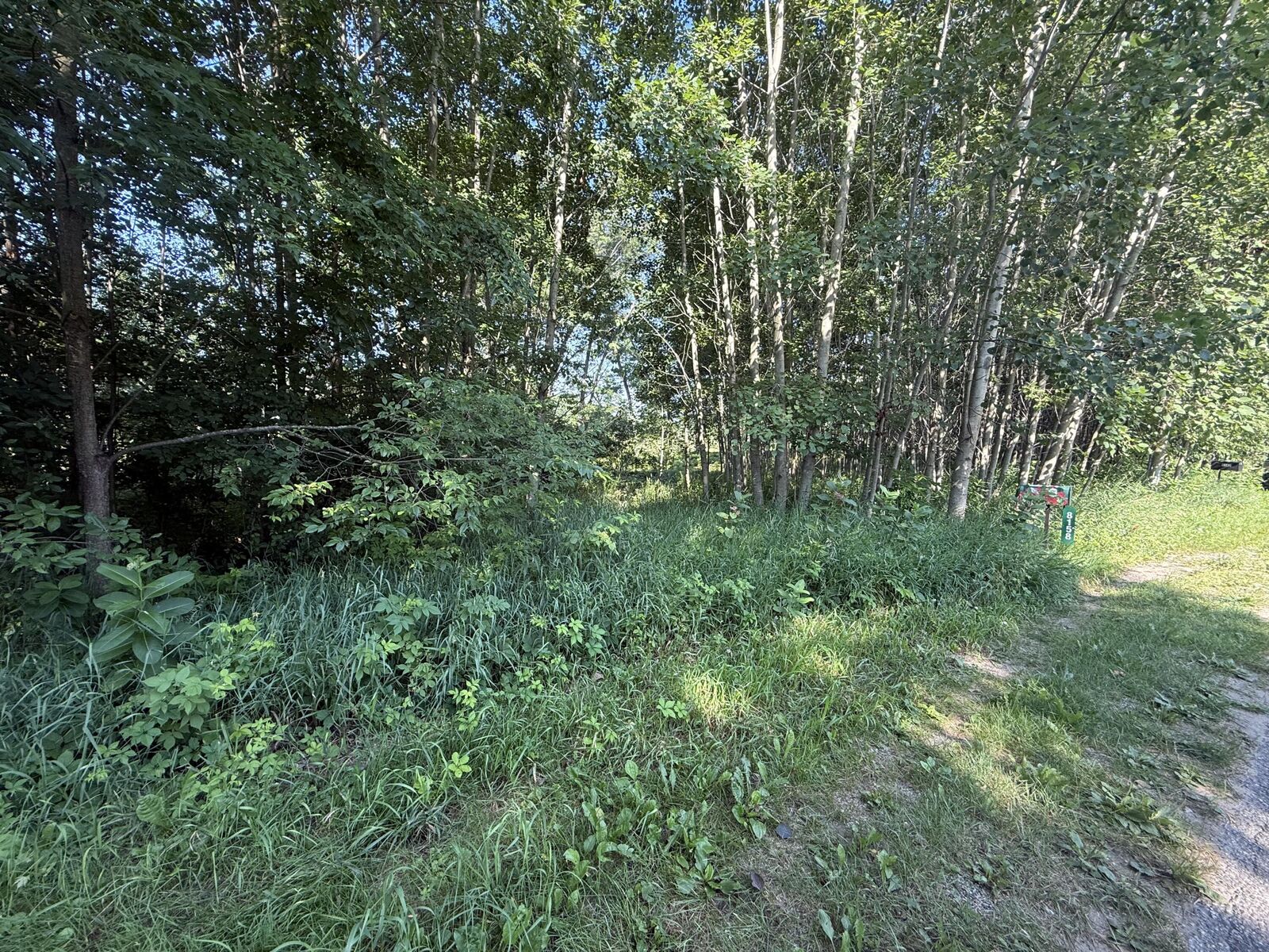 Property Photo:  W Royal Road  MI 49346 