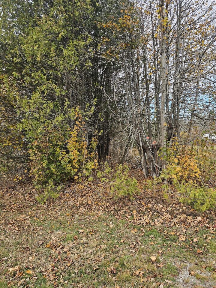 Property Photo: Map 15, Lot 109, Main Street ME 04634