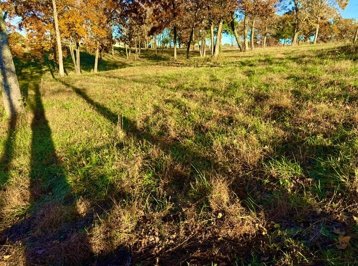 Property Photo:  0 Short Mountain  TN 37166 