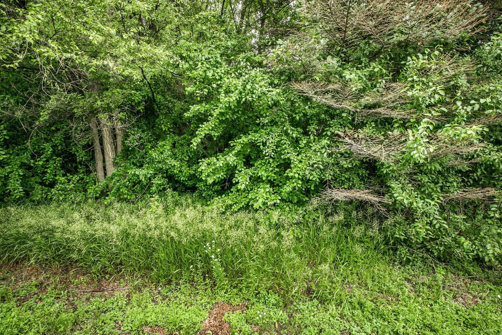 Property Photo:  3122 Blackheath Drive  MN 56301 