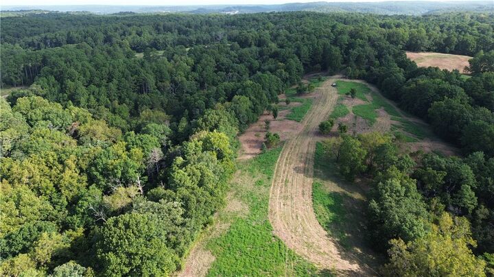 Property Photo: 1029 Bear Hollow Road MO 64856
