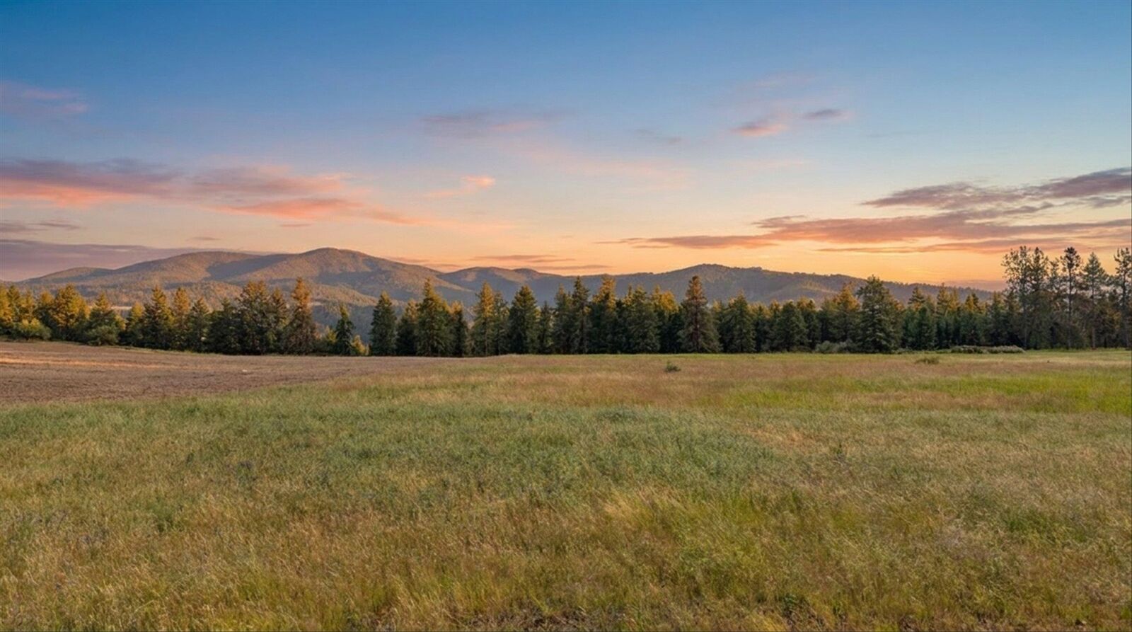 Property Photo: Xxx Orchard Bluff Rd WA 99003
