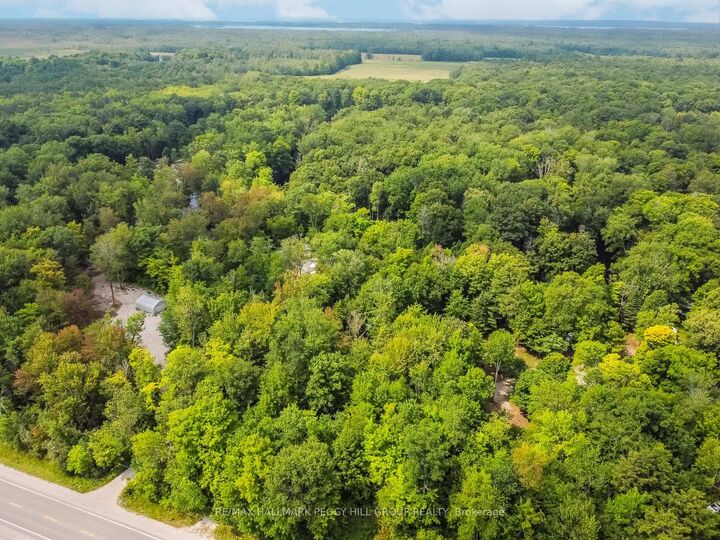 7012 County Road 169 N/A — photo 1