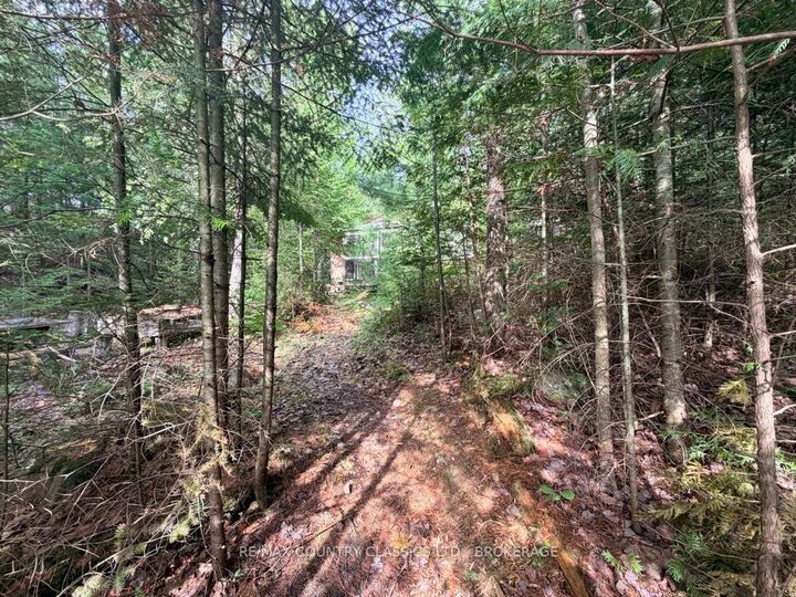 Property Photo: 860 Mazinaw Lake N/A ON K0H 1K0
