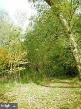 Property Photo:  25136 Silver Crest Drive  MD 20882 