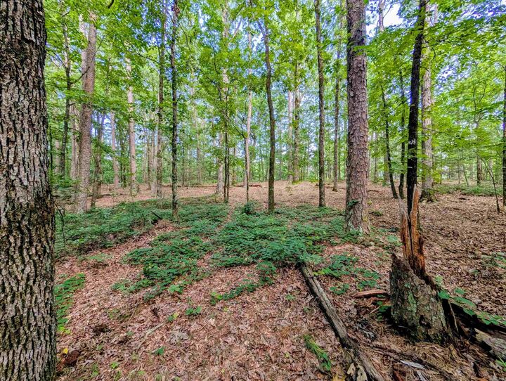Property Photo:  198 Cathedral Pines  AR 71953 